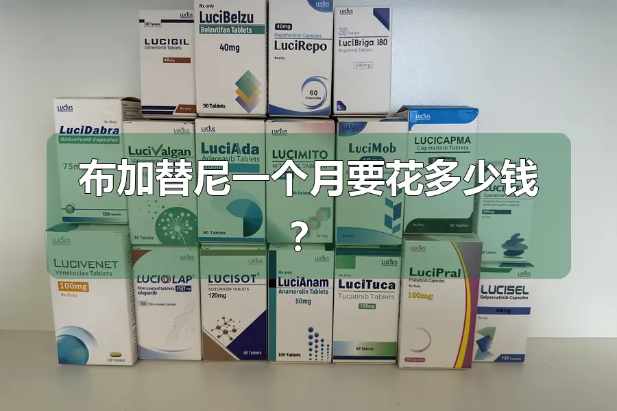 布加替尼一个月要花多少钱？