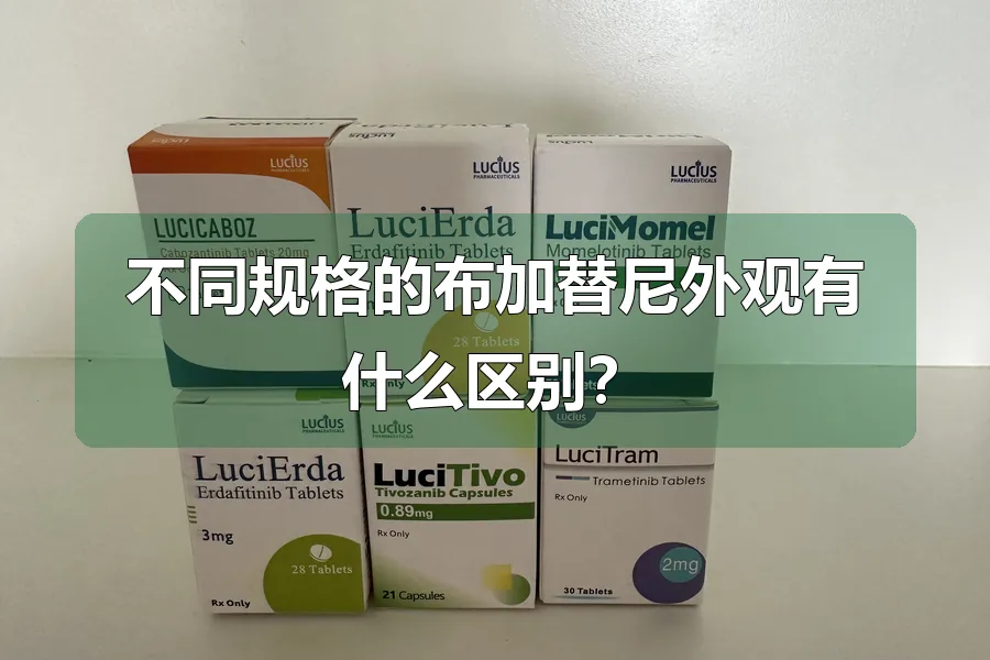 不同规格的布加替尼外观有什么区别？