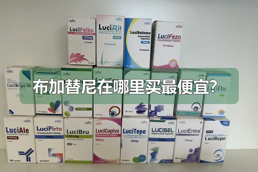 布加替尼在哪里买最便宜？